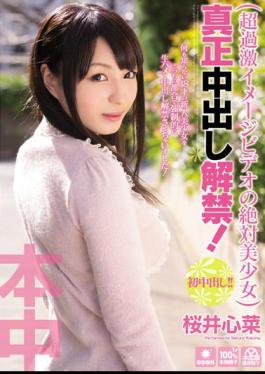 Mosaic HND-113 The Lifting Of The Ban Out Beautiful Girl In Absolute Authenticity Of Cum Video Image! Sakurai Kokorona