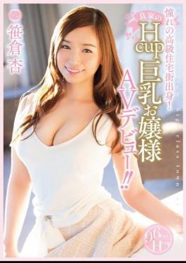 Mosaic PPPD-442 Longing Of The Exclusive Residential Area Born!Good Family Of Hcup Busty Princess AV Debut! Sasakura Apricot