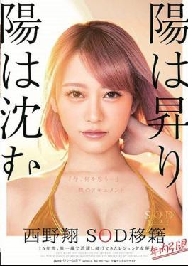 Mosaic STARS-113 The Sun Rises And The Sun Sinks Sho Sho Nishino Resigned Within The Year Retirement Within The Year 15 Years, Legendary Actress Who Has Been Active On The Front Line "What Do You Think Now ..." Naked Document