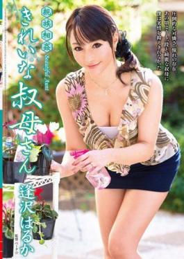 VENU-487 Relatives Incest Beautiful Aunt Aizawa Much