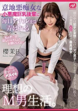 MGMQ-149 The Ideal M-man Life Where Anal Is Played With By A Mean, Slutty, Devilish, Big-breasted Junior Every Day. Maya Sakura