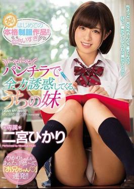 MIDE-611 My Sister Ninomiya Hikari Who Is Always Tempted By The Panchira