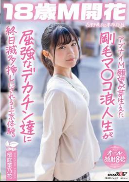 SDAB-336 A Hairy Pussy College Student With A Dangerous Masochistic Desire Is Fucked Hard By Big Dicks All Day Long In Tokyo. Sakuraba Nanoka, A Resident Of Matsumoto City, Nagano Prefecture